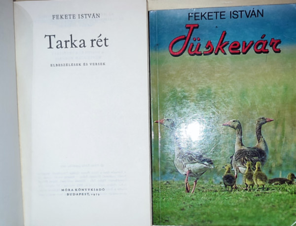 Fekete Istv�n - 2db Fekete Istv�n reg�ny - T�skev�r, Tarka r�t
