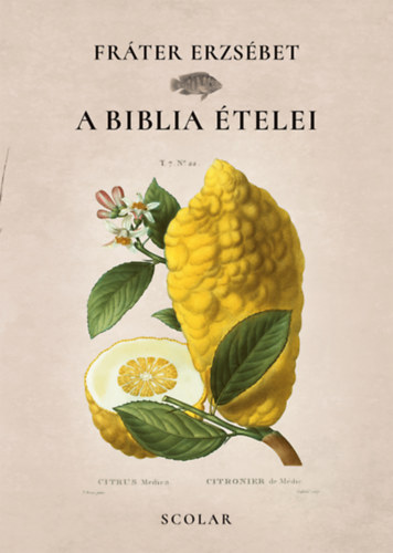 Frter Erzsbet - A Biblia telei