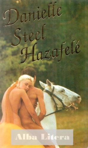 Danielle Steel - Hazafel