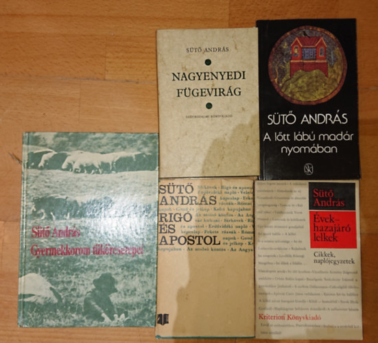 6 knyv St Andrstl: Gyerekkkorom tkrcserepei, Rig s apostol, vek - hazajr lelkek, Nagyennyedi fgevirg, A ltt lb madr nyomban