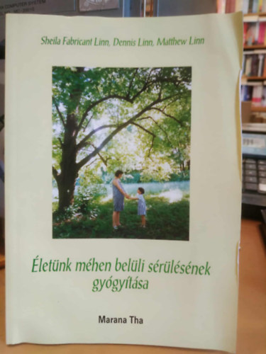 Dennis és Matthew Linn Sheila Fabricant - Életünk méhen belüli sérülésének gyógyítása