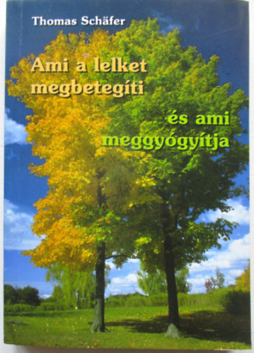 Thomas Schfer - Ami a lelket megbetegti s ami meggygytja