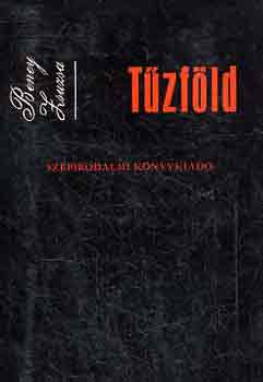 Beney Zsuzsa - Tűzföld
