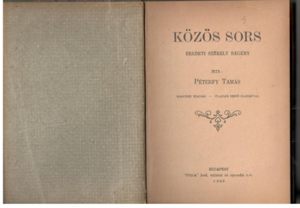 Pterfy Tams - Kzs sors - Eredeti szkely regny