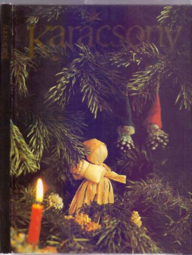 Steinert �gota - Kar�csony (S�rk�ny Gy�z� illusztr�ci�ival)