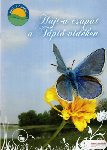 Hajt-A Csapat a Tip-vidken