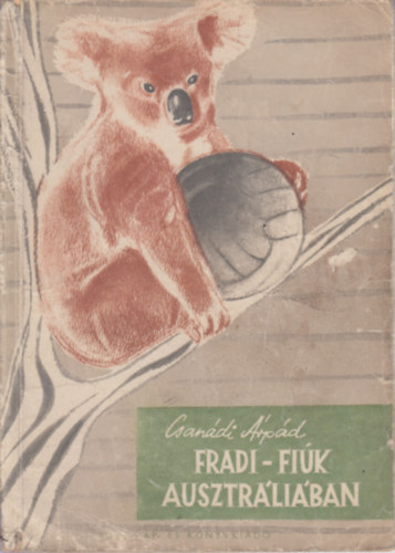 Csandi rpd - Fradi-fik Ausztrliban