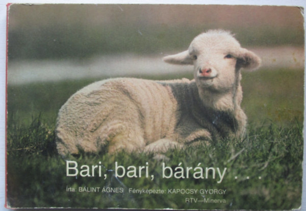 Blint gnes - Bari, bari, brny...