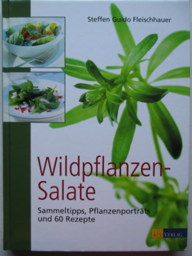 Steffen Guido Fleischhauer - Wildpflanzensalate