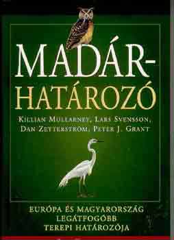 Killian Mullarney, Dan Zetterstrm Lars Svensson - Madrhatroz