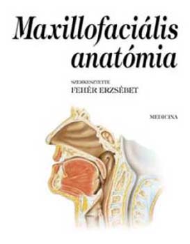 Fehér Erzsébet - Maxillofacialis anatómia