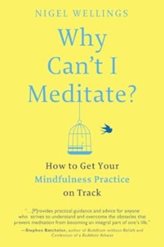 Nigel wellings - Why Can't I Meditate?: How to Get Your Mindfulness Practice on Track