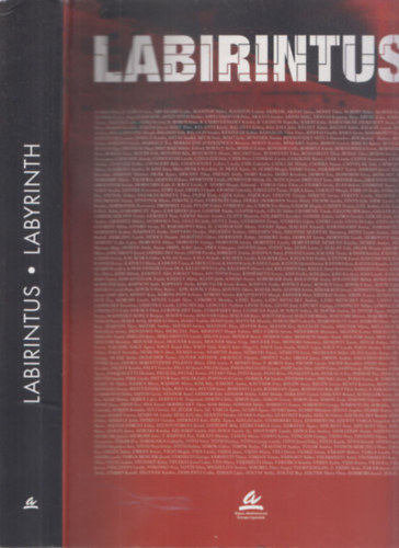 D. Udvary Ildik  (szerk.) - Labirintus - Labyrinth