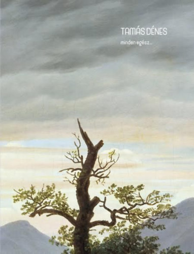 Tamás Dénes - Minden egész...