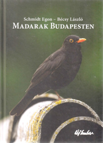 Schmidt Egon - Madarak Budapesten