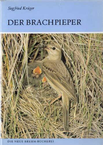 Siegfried Krger - Der Brachpieper (Anthus campestris)