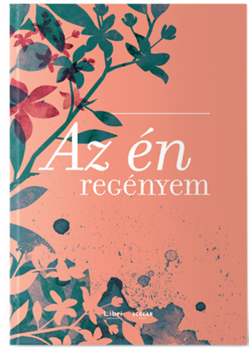 Az n regnyem