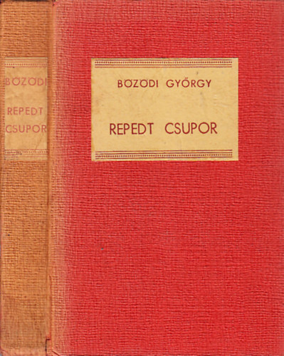 Bzdi Gyrgy - Repedt csupor
