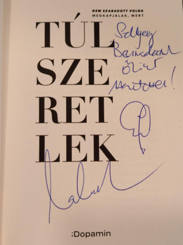 Lakatos Levente - T�lszeretlek