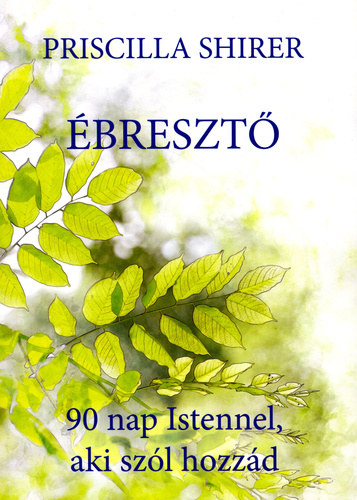 Priscilla Shirer - Ébresztő - 90 nap Istennel, aki szól hozzád