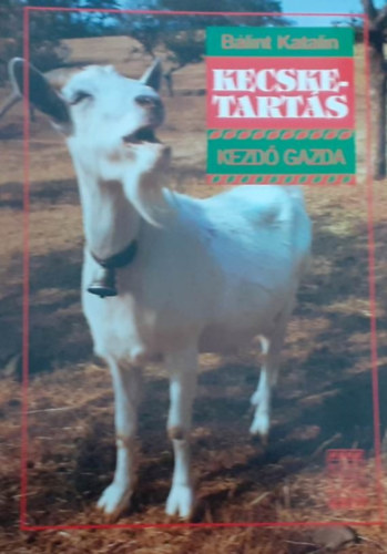Bálint Katalin - Kecsketartás