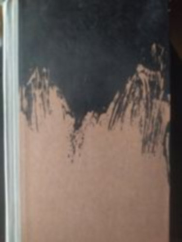 Sink Ervin - Tizenngy nap