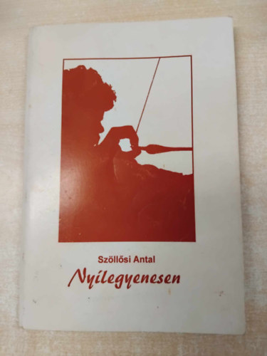 Szllsi Antal - Nylegyenesen