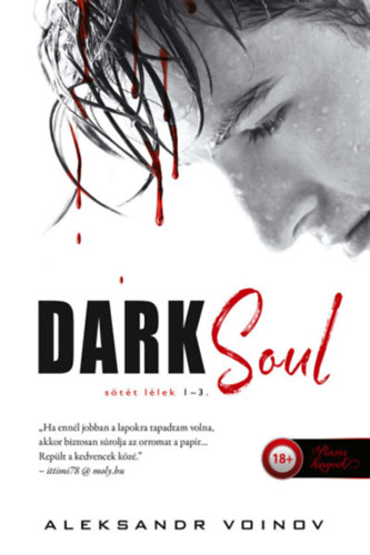 Aleksandr Voinov - Dark Soul - S�t�t l�lek (S�t�t l�lek 1-2-3.)