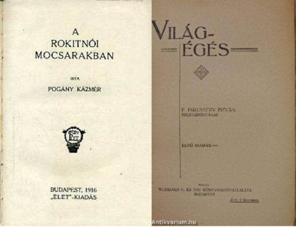 F. Fzessry Istvn Pogny Kzmr - A rokinti mocsarakban + Vilggs ( 1 ktetben)