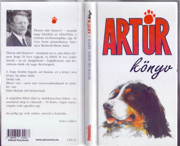 Budavri-Berni Artr  (Szcs Gbor) - Artrknyv (Illusztrlta: Pintr Pter)